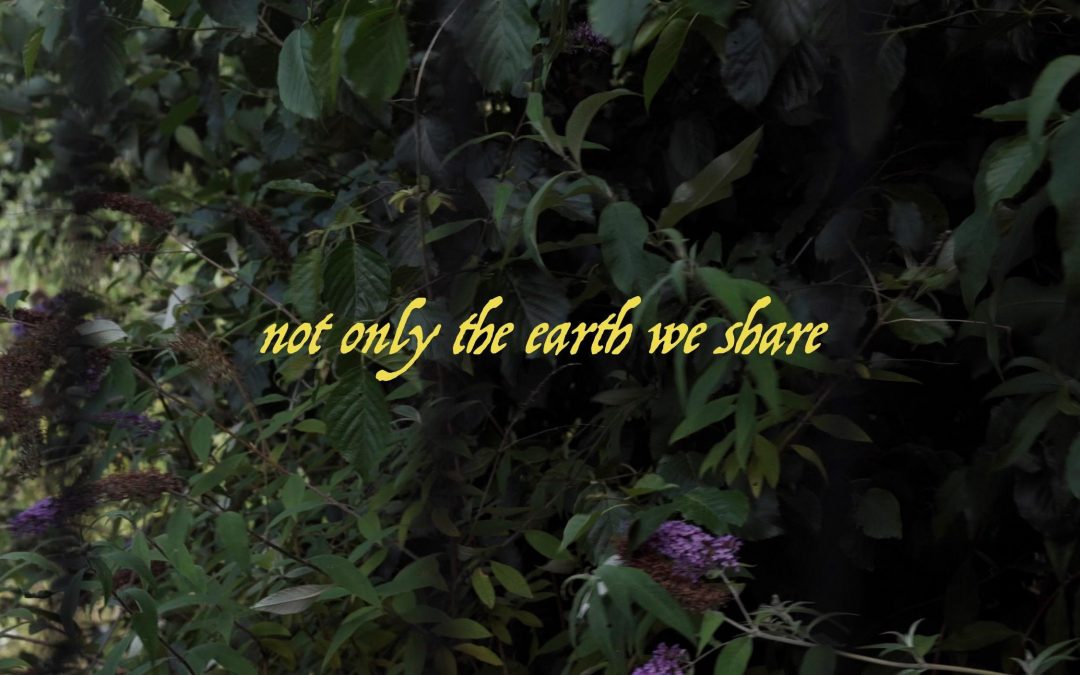 not only the earth we share – website now live